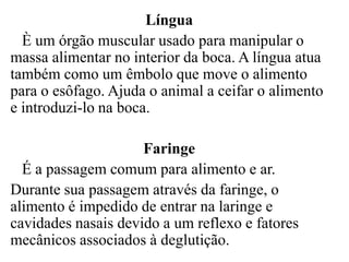 Língua
  È um órgão muscular usado para manipular o
massa alimentar no interior da boca. A língua atua
também como um êmbolo que move o alimento
para o esôfago. Ajuda o animal a ceifar o alimento
e introduzi-lo na boca.

                     Faringe
  É a passagem comum para alimento e ar.
Durante sua passagem através da faringe, o
alimento é impedido de entrar na laringe e
cavidades nasais devido a um reflexo e fatores
mecânicos associados à deglutição.
 