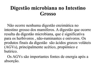 Digestão microbiana no Intestino
               Grosso

  Não ocorre nenhuma digestão enzimática no
intestino grosso dos mamíferos. A digestão que ocorre
resulta da digestão microbiana, que é significativa
para os herbívoros , não-ruminantes e onívoros. Os
produtos finais da digestão são ácidos graxos voláteis
(AGVs), principalmente acético, propiônico e
butírico.
  Os AGVs são importantes fontes de energia após a
absorção.
 