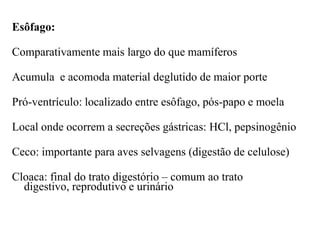 Esôfago:

Comparativamente mais largo do que mamíferos

Acumula e acomoda material deglutido de maior porte

Pró-ventrículo: localizado entre esôfago, pós-papo e moela

Local onde ocorrem a secreções gástricas: HCl, pepsinogênio

Ceco: importante para aves selvagens (digestão de celulose)

Cloaca: final do trato digestório – comum ao trato
  digestivo, reprodutivo e urinário
 