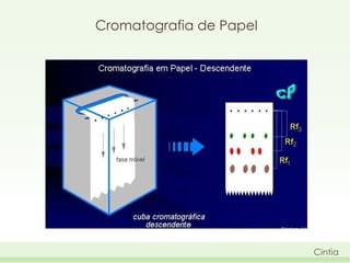 Cromatografia de Papel

Cintia

 