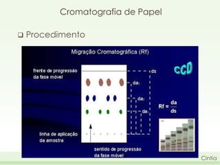 Cromatografia de Papel


Procedimento

Cintia

 