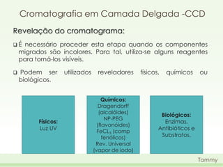 Cromatografia em Camada Delgada -CCD
Revelação do cromatograma:
É

necessário proceder esta etapa quando os componentes
migrados são incolores. Para tal, utiliza-se alguns reagentes
para torná-los visíveis.



Podem ser
biológicos.

Físicos:
Luz UV

utilizados

reveladores

Químicos:
Dragendorff
(alcalóides)
NP-PEG
(flavonóides)
FeCL3 (comp
fenólicos)
Rev. Universal
(vapor de iodo)

físicos,

químicos

ou

Biológicos:
Enzimas,
Antibióticos e
Substratos.

Tammy

 
