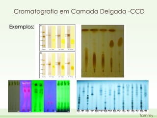 Cromatografia em Camada Delgada -CCD
Exemplos:

Tammy

 