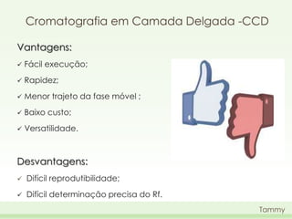 Cromatografia em Camada Delgada -CCD
Vantagens:


Fácil execução;



Rapidez;



Menor trajeto da fase móvel ;



Baixo custo;



Versatilidade.

Desvantagens:


Difícil reprodutibilidade;



Difícil determinação precisa do Rf.
Tammy

 
