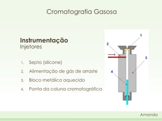 Cromatografia Gasosa

Instrumentação
Injetores
1.

Septo (silicone)

2.

Alimentação de gás de arraste

3.

Bloco metálico aquecido

4.

Ponta da coluna cromatográfica

Amanda

 