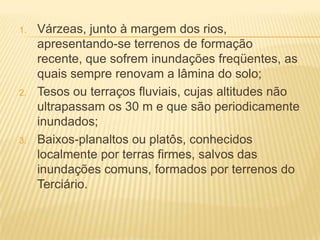 1. Várzeas, junto à margem dos rios,
apresentando-se terrenos de formação
recente, que sofrem inundações freqüentes, as
quais sempre renovam a lâmina do solo;
2. Tesos ou terraços fluviais, cujas altitudes não
ultrapassam os 30 m e que são periodicamente
inundados;
3. Baixos-planaltos ou platôs, conhecidos
localmente por terras firmes, salvos das
inundações comuns, formados por terrenos do
Terciário.
 