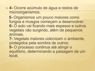  4- Ocorre acúmulo de água e restos de
microorganismos.
5- Organismos um pouco maiores como
fungos e musgos começam a desenvolver.
6- O solo vai ficando mais espesso e outros
vegetais vão surgindo, além de pequenos
animais.
7- Vegetais maiores colonizam o ambiente,
protegidos pela sombra de outros.
8- O processo continua até atingir o
equilíbrio, determinando a paisagem de um
local.
 