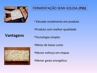 FERMENTAÇÃO SEMI-SOLIDA (FSS)


            • Elevado rendimento em produto

            •Produto com melhor qualidade

Vantagens   •Tecnologia simples

            •Meios de baixo custo

            •Menor esforço em etapas

            •Menor gasto energético
 