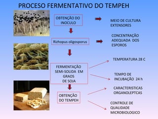 PROCESO FERMENTATIVO DO TEMPEH
          OBTENÇÃO DO
                                MEIO DE CULTURA
            INOCULO
                                EXTENSORES

                                CONCENTRAÇÃO
         Rizhopus oligosporus   ADEQUADA DOS
                                ESPOROS


                                 TEMPERATURA 28 C
           FERMENTAÇÃO
          SEMI-SOLIDA EM
                                 TEMPO DE
              GRAOS
                                 INCUBAÇÃO 24 h
              DE SOJA
                                 CARACTERISTICAS
                                 ORGANOLEPTCAS
            OBTENÇÃO
            DO TEMPEH
                                CONTROLE DE
                                QUALIDADE
                                MICROBIOLOGICO
 