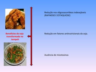 Redução nos oligossacarídeos indesejáveis
                     (RAFINOSE E ESTAQUIOSE)




Benefícios da soja   Redução em fatores antinutricionais da soja.
 transformada no
      tempeh




                     Ausência de micotoxinas
 