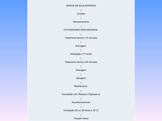 GRAOS DE SOJA INTEIROS
                ↓
             Limpeza
                ↓
          Descascamento
                 ↓
 COTILEDONES DESCASCADOS
                ↓
  Tratamento térmico (10 minutos)
                ↓
            Drenagem
                ↓
       Hidratação (17 horas)
                ↓
  Tratamento térmico (30 minutos)
                ↓
            Drenagem
                ↓
             Secagem
                ↓
           Resfriamento
                ↓
Inoculação com Rhizopus Oligosporus
                ↓
         Acondicionamento
                ↓
 Incubação (22 ou 26 horas a 32°C)
                ↓
          Tempeh fresco
 