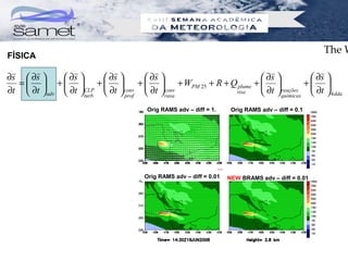 The W
FÍSICA

∂s  ∂s       ∂s        ∂s          ∂s                         ∂s             ∂s 
  =   +  +                      +   + WPM 25 + R + Q plume +               + 
∂t  ∂t  adv  ∂t CLP  ∂t  conv  ∂t  conv
                     turb        prof          rasa
                                                            rise      ∂t  reações  ∂t  4 dda
                                                                            químicas

                                        Orig RAMS adv – diff = 1.     Orig RAMS adv – diff = 0.1




                                       Orig RAMS adv – diff = 0.01   NEW BRAMS adv – diff = 0.01
 