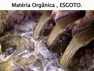 Matéria Orgânica , ESGOTO.
 