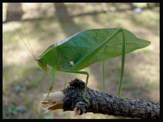 Seminário sobre inclusão social