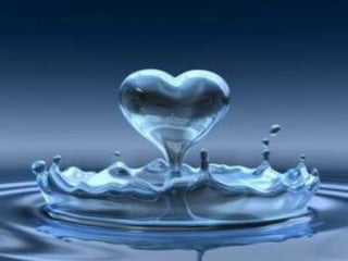 Seminário sobre inclusão social