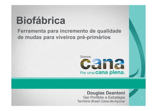 Biofábrica
Ferramenta para incremento de qualidade
de mudas para viveiros pré-primários
Douglas Deantoni
Ger Portfolio e Estratégia
Território Brasil Cana-de-Açúcar
 