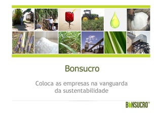 Bonsucro
Coloca as empresas na vanguarda
da sustentabilidade
 