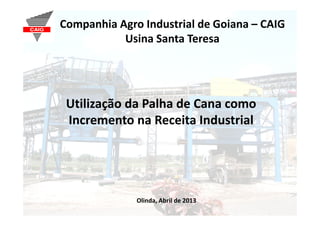 Companhia Agro Industrial de Goiana – CAIG
Usina Santa Teresa
Utilização da Palha de Cana como
Incremento na Receita Industrial
Olinda, Abril de 2013
 