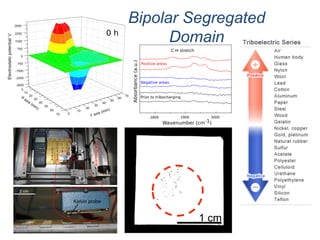 1 cm
Bipolar Segregated
Domain
 