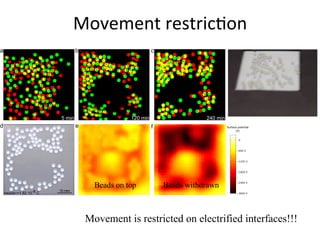 Movement	
  restric<on	
  
Movement is restricted on electrified interfaces!!!
Beads on top Beads withdrawn
 