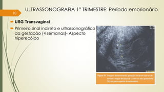 10
 USG Transvaginal
 Primeiro sinal indireto e ultrassonográfico
da gestação (4 semanas)- Aspecto
hiperecóico
ULTRASSONOGRAFIA 1° TRIMESTRE: Período embrionário
 