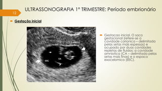 12
 Gestação inicial
ULTRASSONOGRAFIA 1° TRIMESTRE: Período embrionário
 Gestacao inicial. O saco
gestacional (refere-se a
cavidade corionica – delimitada
pelas setas mais espessas) e
ocupado por duas cavidades
repletas de fluidos: a cavidade
amniotica (CA – delimitada pelas
setas mais finas) e o espaco
exocelomico (EEC).
 
