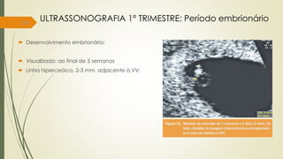 14
ULTRASSONOGRAFIA 1° TRIMESTRE: Período embrionário
 Desenvolvimento embrionário:
 Visualizado: ao final de 5 semanas
 Linha hiperceóica, 2-3 mm, adjacente à VV.
 