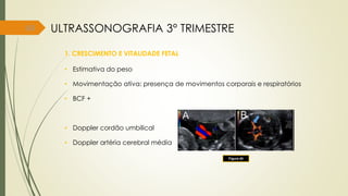 60
1. CRESCIMENTO E VITALIDADE FETAL
• Estimativa do peso
• Movimentação ativa: presença de movimentos corporais e respiratórios
• BCF +
• Doppler cordão umbilical
• Doppler artéria cerebral média
Figura 40
ULTRASSONOGRAFIA 3° TRIMESTRE
 