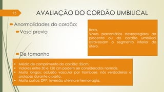 AVALIAÇÃO DO CORDÃO UMBILICAL
Anormalidades do cordão:
Vasa previa
De tamanho
 Média de comprimento do cordão: 55cm.
 Valores entre 30 e 120 cm podem ser considerados normais.
 Muito longos: oclusão vascular por trombose, nós verdadeiros e
prolapso durante o parto.
 Muito curtos: DPP, inversão uterina e hemorragia.
75
Rara,
Vasos placentários desprotegidos da
placenta ou do cordão umbilical
atravessam o segmento inferior do
útero.
 