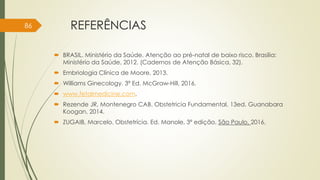 REFERÊNCIAS
 BRASIL. Ministério da Saúde. Atenção ao pré-natal de baixo risco. Brasília:
Ministério da Saúde, 2012. (Cadernos de Atenção Básica, 32).
 Embriologia Clínica de Moore, 2013.
 Williams Ginecology. 3ª Ed. McGraw-Hill, 2016.
 www.fetalmedicine.com.
 Rezende JR, Montenegro CAB. Obstetricia Fundamental, 13ed. Guanabara
Koogan, 2014.
 ZUGAIB, Marcelo. Obstetrícia. Ed. Manole, 3ª edição, São Paulo, 2016.
86
 