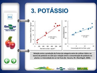 013




       Relação entre a produção de frutas da categoria extra da cultivar Gala e os
      teores de potássio no solo (a) e relação entre a concentração de potássio na
        planta e a intensidade de cor da fruta (b). Vacaria, RS. (Nachtigall, 2000).
 