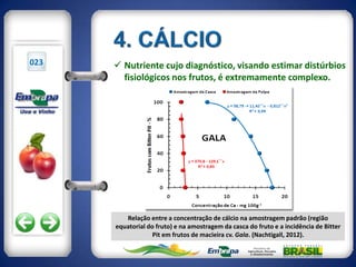 023    Nutriente cujo diagnóstico, visando estimar distúrbios
        fisiológicos nos frutos, é extremamente complexo.




         Relação entre a concentração de cálcio na amostragem padrão (região
      equatorial do fruto) e na amostragem da casca do fruto e a incidência de Bitter
                   Pit em frutos de macieira cv. Gala. (Nachtigall, 2012).
 