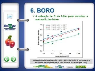 025    A aplicação de B via foliar pode antecipar a
        maturação dos frutos.




      Influência de níveis de boro (0% - 0,1% - 0,2% - 0,4% - 0,8%) na coloração e
          estágio de maturação de maçãs Gala. Vacaria, RS. (Nachtigall, 1995).
 