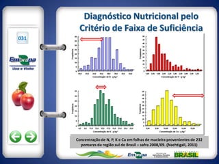 031




      Concentração de N, P, K e Ca em folhas de macieira provenientes de 232
        pomares da região sul do Brasil – safra 2008/09. (Nachtigall, 2011)
 