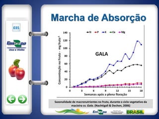 035




      Sazonalidade de macronutrientes no fruto, durante o ciclo vegetativo da
                  macieira cv. Gala. (Nachtigall & Dechen, 2006)
 