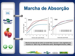 036




      Marcha de absorção de cálcio no tecido foliar, durante o ciclo vegetativo da
      macieira cvs. Gala e Fuji, em diferentes safras. (Nachtigall & Dechen, 2006)
 
