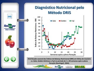 040




      Distribuição sazonal dos Índices de Balanço Nutricional (IBN) em folhas de macieira
          cv. Gala, Golden Delicious e Fuji no período de 1 a 30 semanas após a plena
                                   floração (Nachtigall, 2004).
 