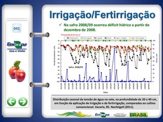  Na safra 2008/09 ocorreu déficit hídrico a partir de
042         dezembro de 2008.




      Distribuição sazonal da tensão de água no solo, na profundidade de 20 a 40 cm,
       em função da aplicação de irrigação e de fertirrigação, comparadas ao cultivo
                       convencional. Vacaria, RS. Nachtigall (2011).
 