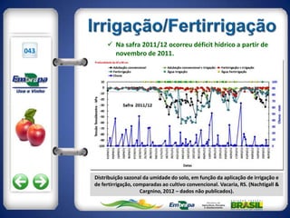  Na safra 2011/12 ocorreu déficit hídrico a partir de
043          novembro de 2011.




      Distribuição sazonal da umidade do solo, em função da aplicação de irrigação e
      de fertirrigação, comparadas ao cultivo convencional. Vacaria, RS. (Nachtigall &
                          Cargnino, 2012 – dados não publicados).
 