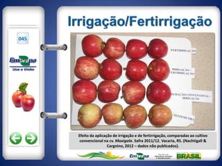 045




      Efeito da aplicação de irrigação e de fertirrigação, comparadas ao cultivo
       convencional na cv. Maxigala. Safra 2011/12. Vacaria, RS. (Nachtigall &
                       Cargnino, 2012 – dados não publicados).
 