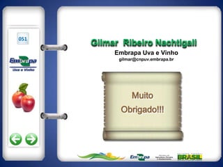 051
      Gilmar Ribeiro Nachtigall
           Embrapa Uva e Vinho
            gilmar@cnpuv.embrapa.br




                 Muito
             Obrigado!!!
 