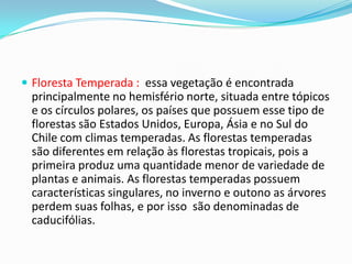  Floresta Temperada : essa vegetação é encontrada
principalmente no hemisfério norte, situada entre tópicos
e os círculos polares, os países que possuem esse tipo de
florestas são Estados Unidos, Europa, Ásia e no Sul do
Chile com climas temperadas. As florestas temperadas
são diferentes em relação às florestas tropicais, pois a
primeira produz uma quantidade menor de variedade de
plantas e animais. As florestas temperadas possuem
características singulares, no inverno e outono as árvores
perdem suas folhas, e por isso são denominadas de
caducifólias.
 