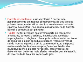  Floresta de coníferas : essa vegetação é encontrada
geograficamente em regiões com proximidade aos círculos
polares, com características de clima com inverno bastante
rigoroso. As coníferas são denominadas também de floresta
boreal, é composta por pinheiros.
 Tundra : se faz presente no extremo norte do continente
americano, europeu e asiático, a particularidade dessa
vegetação é em relação ao clima, pois se desenvolve em áreas
de clima frio e polar, com duas estações (verão e inverno),
sendo inverno rigoroso e verão com temperatura um pouco
mais elevada. Na tundra as vegetações encontradas são
musgos, liquens e plantas herbáceas, esses vegetais se
desenvolvem de forma mais efetiva no verão, pois na estação
do inverno toda área fica coberta de gelo.
 