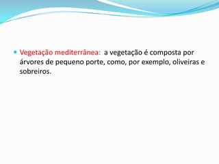  Vegetação mediterrânea: a vegetação é composta por
árvores de pequeno porte, como, por exemplo, oliveiras e
sobreiros.
 