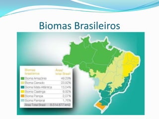 Biomas Brasileiros
 
