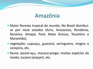 Amazônia
 Maior floresta tropical do mundo; No Brasil distribui-
se por nove estados (Acre, Amazonas, Rondônia,
Roraima, Amapá, Pará, Mato Grosso, Tocantins e
Maranhão).
 vegetação: cupuaçu, guaraná, seringueira, mogno e
cerejeira, etc.
 fauna: jacaré-açu, macaco-prego; muitas espécies de
inseto, tucano (araçari), etc.
 