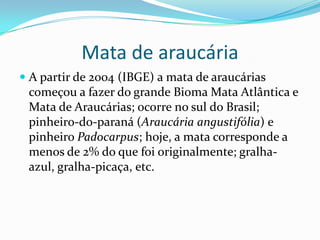 Mata de araucária
 A partir de 2004 (IBGE) a mata de araucárias
começou a fazer do grande Bioma Mata Atlântica e
Mata de Araucárias; ocorre no sul do Brasil;
pinheiro-do-paraná (Araucária angustifólia) e
pinheiro Padocarpus; hoje, a mata corresponde a
menos de 2% do que foi originalmente; gralha-
azul, gralha-picaça, etc.
 