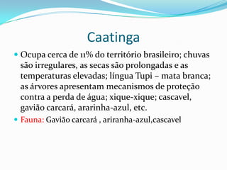 Caatinga
 Ocupa cerca de 11% do território brasileiro; chuvas
são irregulares, as secas são prolongadas e as
temperaturas elevadas; língua Tupi – mata branca;
as árvores apresentam mecanismos de proteção
contra a perda de água; xique-xique; cascavel,
gavião carcará, ararinha-azul, etc.
 Fauna: Gavião carcará , ariranha-azul,cascavel
 