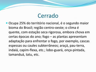 Cerrado
 Ocupa 25% do território nacional, é o segundo maior
bioma do Brasil; região centro-oeste; o clima é
quente, com estação seca rigorosa, embora chova em
certas épocas do ano; fogo – as plantas apresentam
adaptação para enfrentar o fogo, por exemplo, cascas
espessas ou caules subterrâneos; araçá, pau-terra,
indaiá, capim-flexa, etc.; lobo-guará, onça-pintada,
tamanduá, tatu, etc.
 