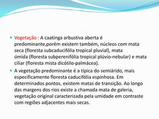  Vegetação : A caatinga arbustiva aberta é
predominante,porém existem também, núcleos com mata
seca (floresta subcaducifólia tropical pluvial), mata
úmida (floresta subperenifólia tropical plúvio-nebular) e mata
ciliar (floresta mista dicótilo-palmácea).
 A vegetação predominante é a típica do semiárido, mais
especificamente floresta caducifólia espinhosa. Em
determinados pontos, existem matas de transição. Ao longo
das margens dos rios existe a chamada mata de galeria,
vegetação original caracterizada pela umidade em contraste
com regiões adjacentes mais secas.
 